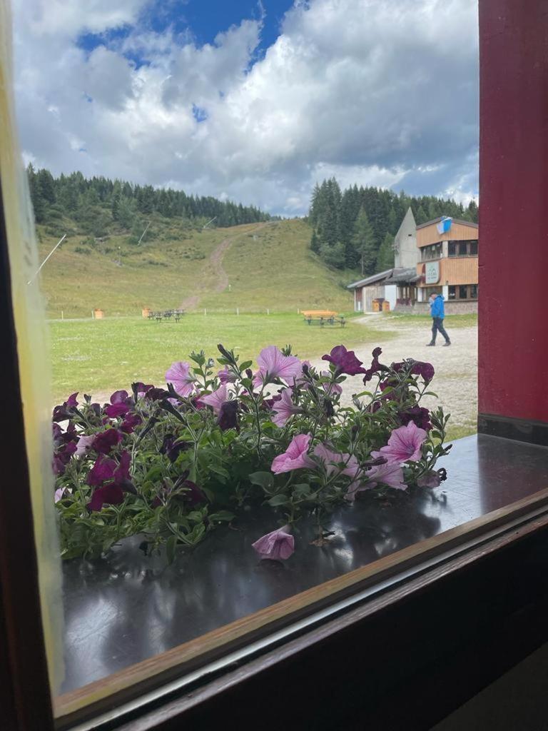 Chalet Scoiattolo Residence Sussy Фалкаде Екстериор снимка